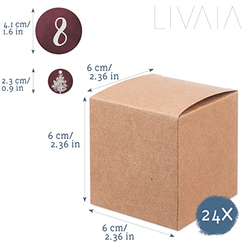 Adventskalender zum Befüllen : DIY Adventskalender zum Selbstbefüllen mit Kartons, Stickern - 2025 Adventskalender zum Basteln - DIY Adventskalender Selber Befüllen - Adventskalender Befüllen LIVAIA